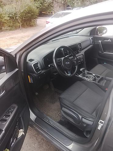 spark 2018: Kia Sportage: 2019 г., Автомат, Кроссовер — 1