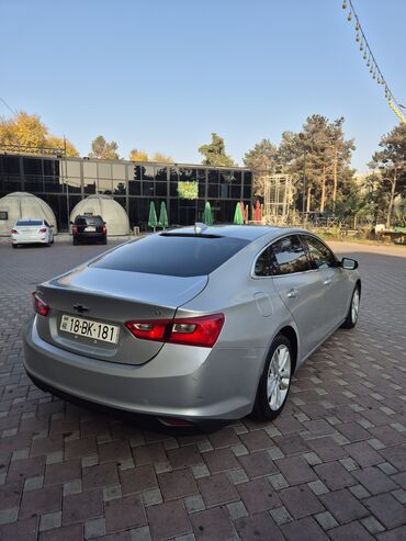 Chevrolet: Chevrolet Malibu: 1.5 l | 2016 il 276500 km Sedan — 12