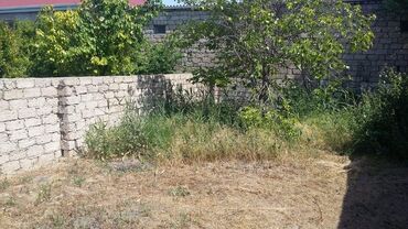 Həyət evləri və villaların satışı: Salam ev 3 sot torpaqda yerləşir yeni ramana qəsəbəsində tək daşdır -da lalafo.az — 2 Həyət evləri və villaların satışı: Salam ev 3 sot torpaqda yerləşir yeni ramana qəsəbəsində tək daşdır — 2