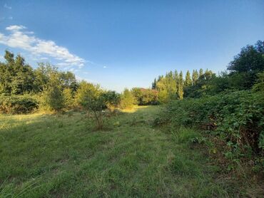 Torpaq sahələrinin satışı: 10 sot, Tikinti, Mülkiyyətçi, Kupça (Çıxarış) — 9