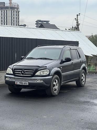 w163: Mercedes-Benz ML-Class: 1999 г., 3.2 л, Автомат, Бензин, Внедорожник — 1