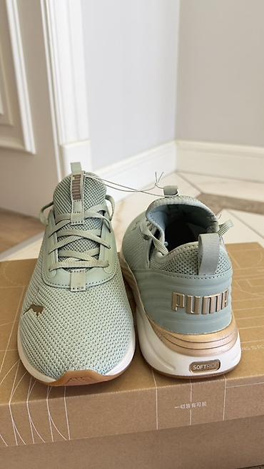 adidas campus: Мужские кроссовки, 38, Puma, Новый — 1