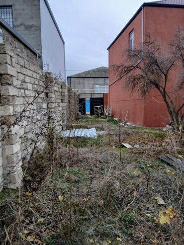 Torpaq sahələrinin satışı: 3 sot, Tikinti, Mülkiyyətçi, Kupça (Çıxarış) — 6