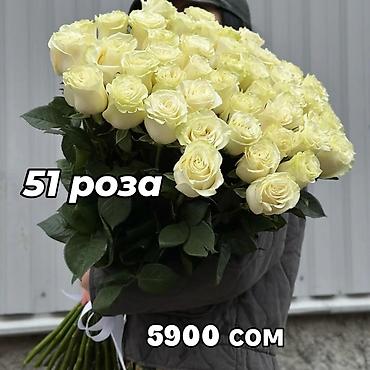 Другие комнатные растения: 🌿 Зелёное счастье для вашего дома 🌿 Комнатные растения и свежие цветы — 14