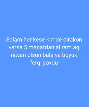 Göyərçinlər: Salam. Kimdə dirakon varsa, böyüyün, balasının fərqi yoxdur, 5