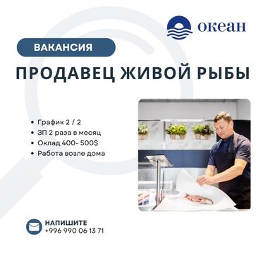 продаю место на рынке: Требуется Продавец-консультант в Продуктовый магазин, График: Два через два, Оплачиваемый отпуск, Полный рабочий день