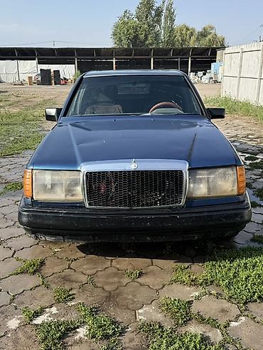 козырек 124: Mercedes-Benz W124: 1989 г., 2.3 л, Седан — 1