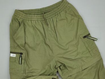 American Eagle, Spodnie 3/4 dla mężczyzn, L, stan - Dobry
