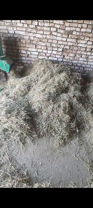 Корма для с/х животных: Сено в тюках

кастра с камышом 130 сом. 400-500 шт — 9