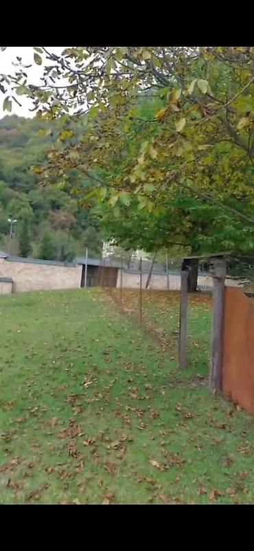 Torpaq sahələrinin satışı: Tikinti — 12