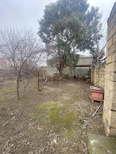 Torpaq sahələrinin satışı: Tikinti — 5