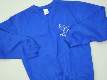 Sweatshirt for men, S (EU 36), Stedman, condition - Perfect