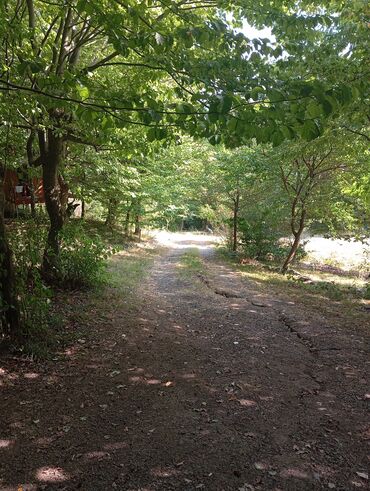 Uzunmüddətli kirayə evlər: 3000 kv. m, 3 otaqlı -da lalafo.az — 15 Uzunmüddətli kirayə evlər: 3000 kv. m, 3 otaqlı — 15