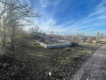 дома село кок жар: 6 соток, Кызыл китеп, Сатып алуу-сатуу келишими