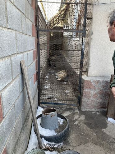 Продажа участков: 12 соток, Для строительства, Красная книга — 19