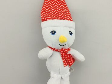 czapka slask wroclaw: Mascot condition - Very good