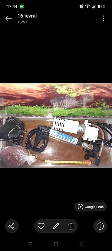 akvariumlar: Akvaryum dəsti10 litrlik akvarium su qizdiricisi su filteri termometr — 2
