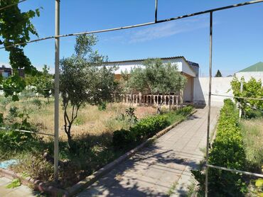 Həyət evləri və villaların satışı: 4 otaqlı, 90 kv. m, Kredit yoxdur, Orta təmir -da lalafo.az — 13 Həyət evləri və villaların satışı: 4 otaqlı, 90 kv. m, Kredit yoxdur, Orta təmir — 13