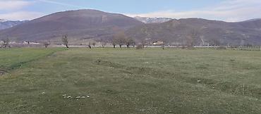 Torpaq sahələrinin satışı: Kənd təsərrüfatı — 18