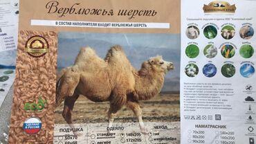 двуспальное постельное белье: Облегченные российские одеяла двухспалки Адрес Жибек