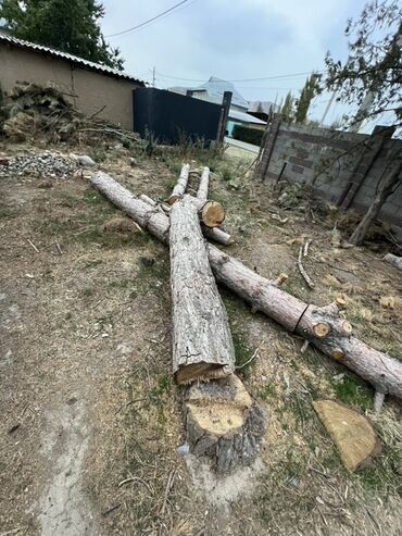 кресло офисное цена бишкек: АРЧА БАК СОКУЛУК РАЙОН БЕЛЕК АЙЫЛ СРОЧНО САТЫЛАТ
