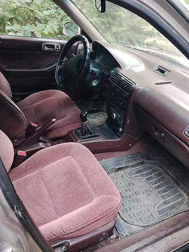 1991 accord: Honda Accord: 1991 г., Бензин, Универсал — 6