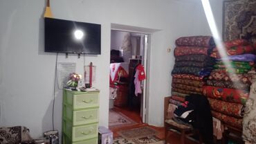 Другие комнатные растения: Талас шаары Танабаев 265кочосу техникумдун аркасында жайгашкан — 3