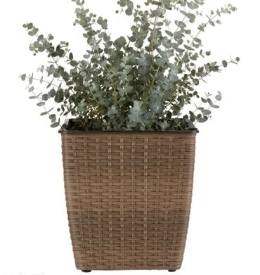 Vaze i saksije: Saksija, bоја - Šareno, Novo — 3