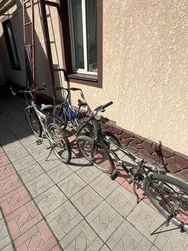 Горные велосипеды: Горные велосипеды (несколько штук на фото) - Класс — 2