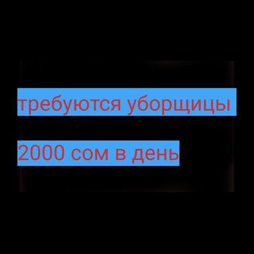 работа менеджером по продажам: Талап кылынат Тазалоочу, Төлөм Күнүмдүк