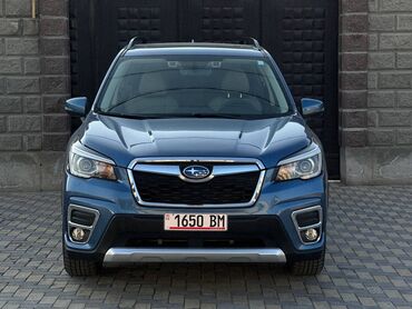 Subaru: Subaru Forester: 2019 г., 2.5 л, Вариатор, Бензин, Внедорожник