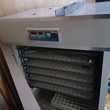 inkubator satılır: Yumurta inkubatoru – çoxfunksiyalı, iri tutumlu model. Xüsusiyyətlər — 1