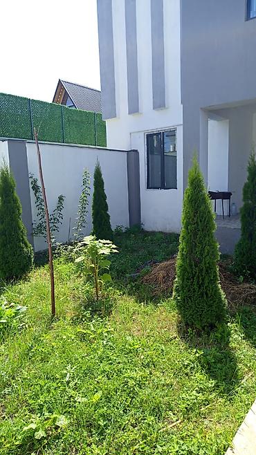 masazır kirayə ev: 85 kv. m, 2 otaqlı, Hovuzsuz, Kanalizasiya, Kombi, Qaz — 1