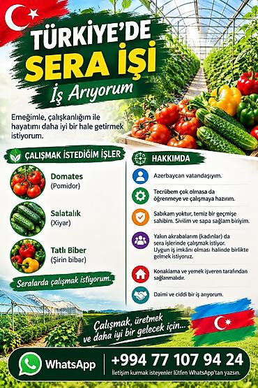bağ evi işi: Xidmət: Türkiyədə sera işi üçün iş axtarıram Açıqlama: - Məqsədim — 1