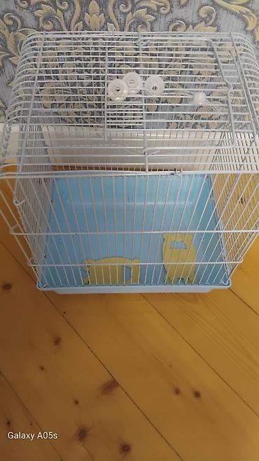 it satşı: Kiçik quşlar üçün,hamsterler üçün böyük Qefəs içindeki eşyaları — 1