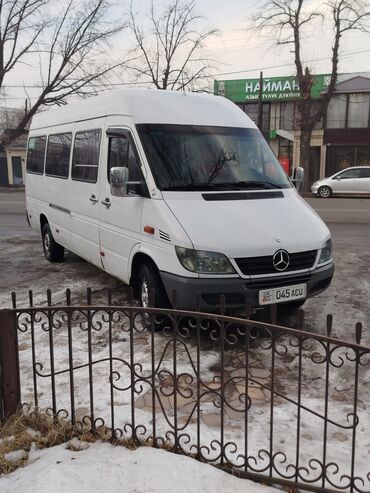 Mercedes-Benz: Mercedes-Benz Sprinter: 2004 г., 2.7 л, Механика, Дизель, Бус