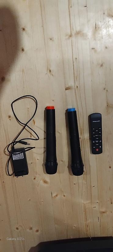 karaoke oxumaq: Hoffmann karaoke partnyoru – böyük portativ akustik sistem — 4