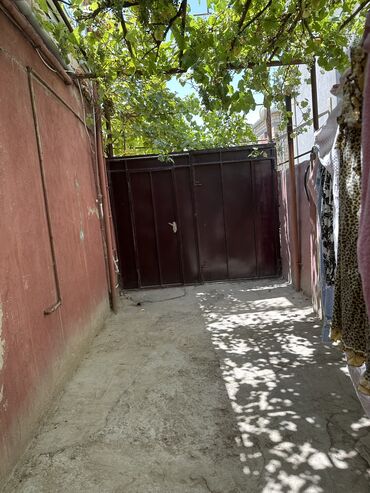 Bağ evlərinin satışı: Novxanı, 78 kv. m, 3 otaqlı -da lalafo.az — 19 Bağ evlərinin satışı: Novxanı, 78 kv. m, 3 otaqlı — 19