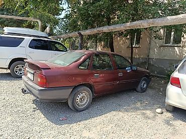 Opel: Opel Vectra: 1991 г., 1.6 л, Механика, Бензин, Седан — 4