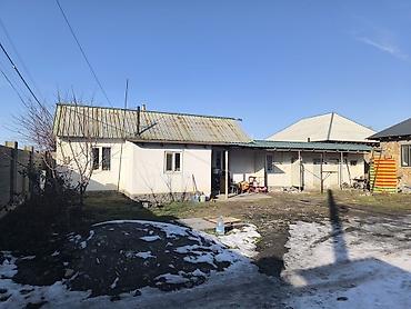 Жер тилкелери: 5 соток, Курулуш, Кызыл китеп — 3