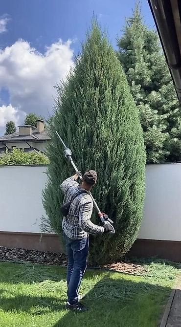 Уборка территории: Уборка территории — 3