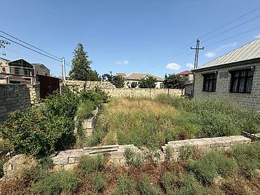 ot bicen kiraye: 3 sot, Tikinti, Mülkiyyətçi, Kupça (Çıxarış) — 1