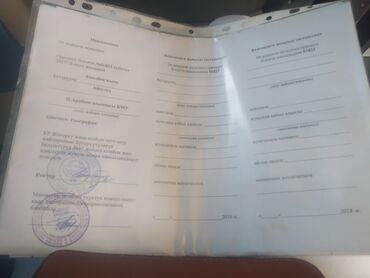 Закончила педагогического университета им. И.Арабаева Адис: География