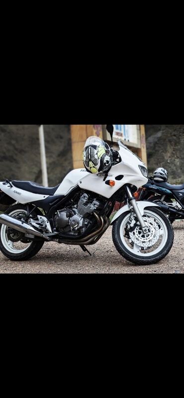 Мотоциклы и мопеды: Продаю своего верного друга! Yamaha XJ 600S Diversion Рестайлинг