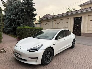 roidmi 4s: Tesla Model 3: 2021 г., Автомат, Электромобиль, Седан — 1