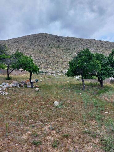 Продажа участков: 6 соток, Для сельского хозяйства, Красная книга — 4