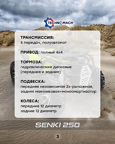 Квадроциклы: Квадроцикл Бензин, 250 куб. см, Взрослый — 3