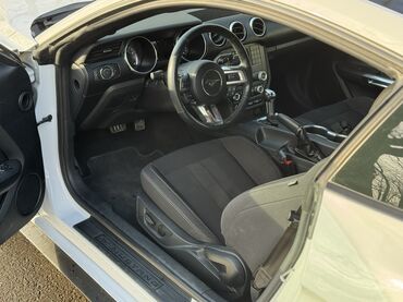Ford: Ford Mustang: 2020 г., 2.3 л, Автомат, Бензин, Купе — 8