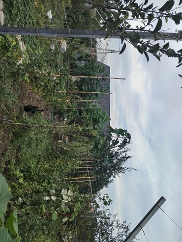 Həyət evləri və villaların satışı: 1 otaqlı, 36 kv. m, Yeni təmirli — 25