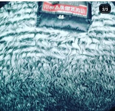 Kurtkalar: Oglan üçün az geynilmiş ter temiz seliqeli tam problemsiz gõdekçeler — 11